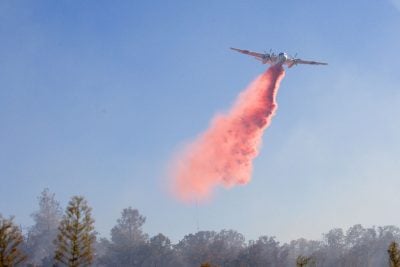 How to survive a wildfire